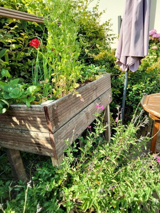 Mer A Pied Vrai Lit Linge Fourni Jardin Brétignolles-sur-Mer Eksteriør billede